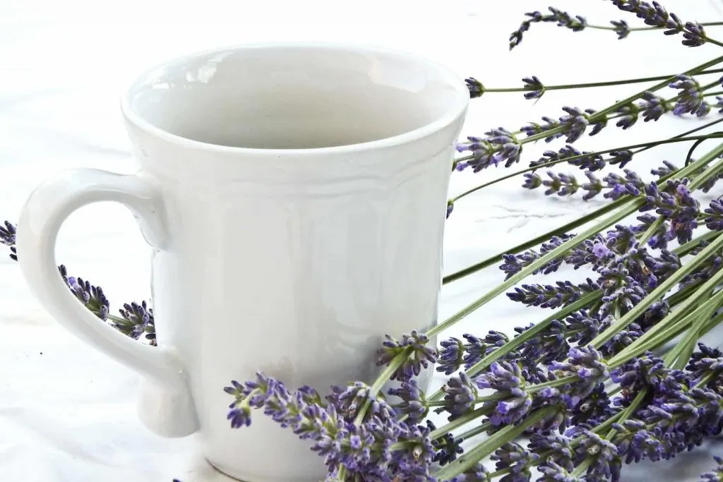 tea cup and dried lavender