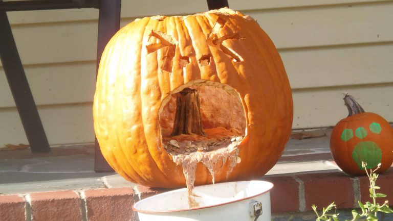 3 Fun Ideas When Your Teens Are Too Old For Trick Or Treat Pardon Me 