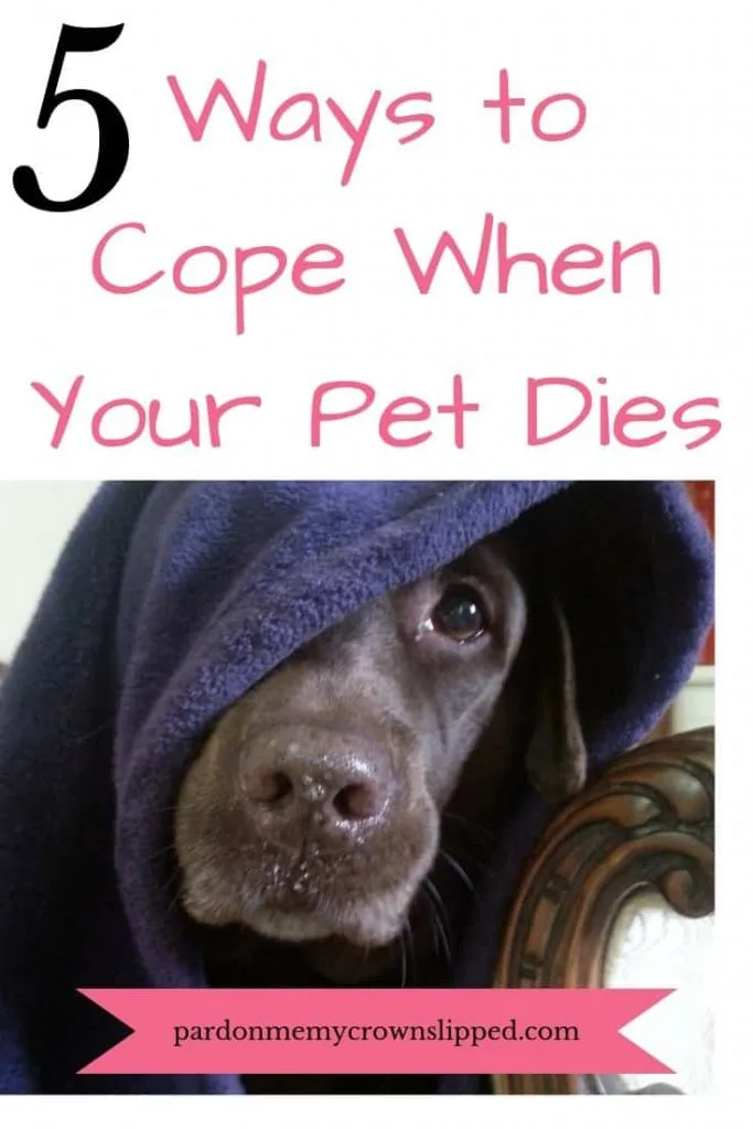 When dealing with the loss of a pet what can you do to help you and your family grieve and remember your pet so you can move on and cherish the memories. #loss of pet #dogs #parenting
