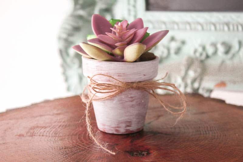 painted terracotta pot with succulent