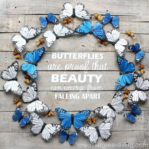 butterfly wall art