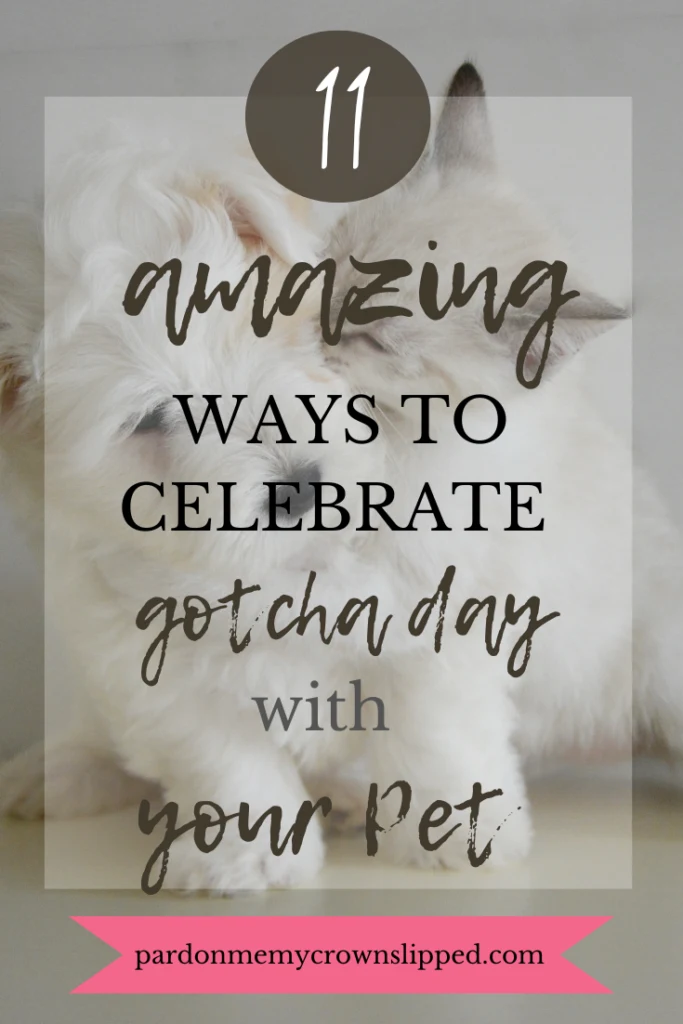 11 amazing ways to celebrate gotcha day with your pet