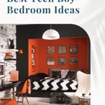 Best Teen Boy Bedroom Ideas