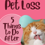 Pet Loss: 5 Things to Do After
