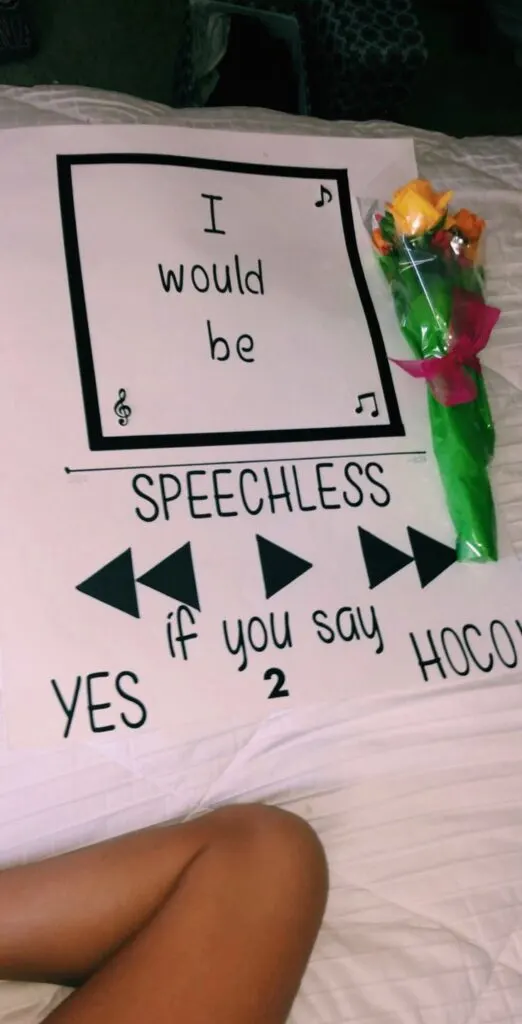 hoco proposal 6