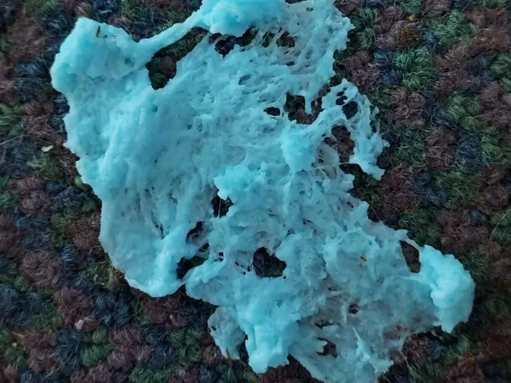 Sticky Situation? Here's How to Get Slime Out of Carpet—A Step-by-Step Guide