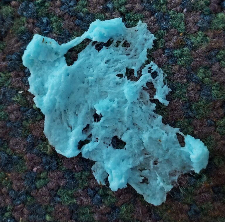 Sticky Situation? Here's How to Get Slime Out of Carpet—A Step-by-Step Guide