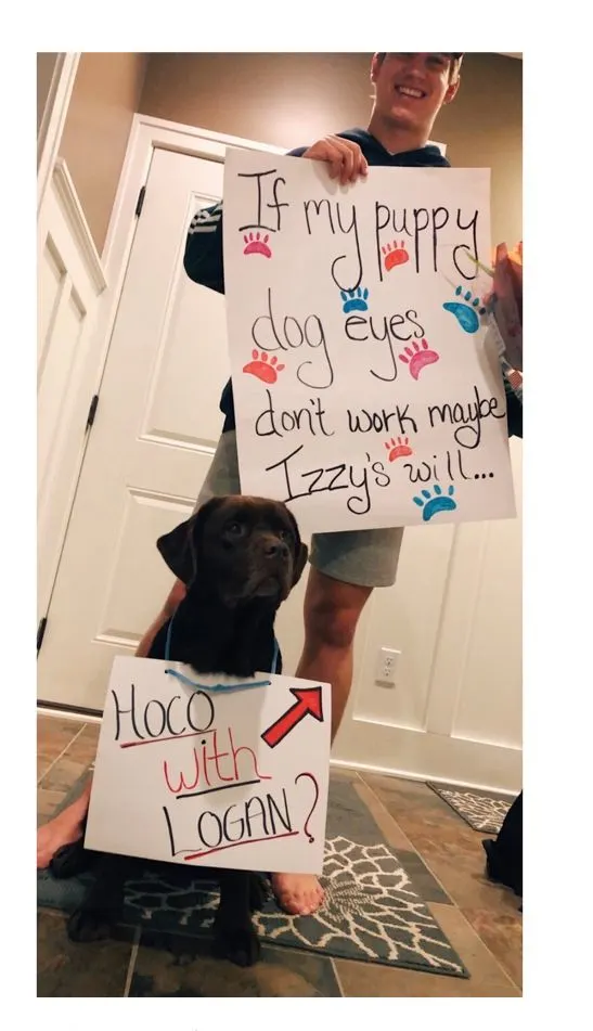 puppy eyes dog homecoming proposal