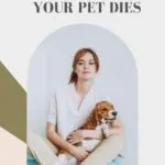 5 Ideas to Help You When Your Pet Dies