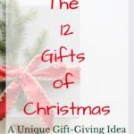 The 12 Gifts of Christmas - A Unique Gift Giving Idea