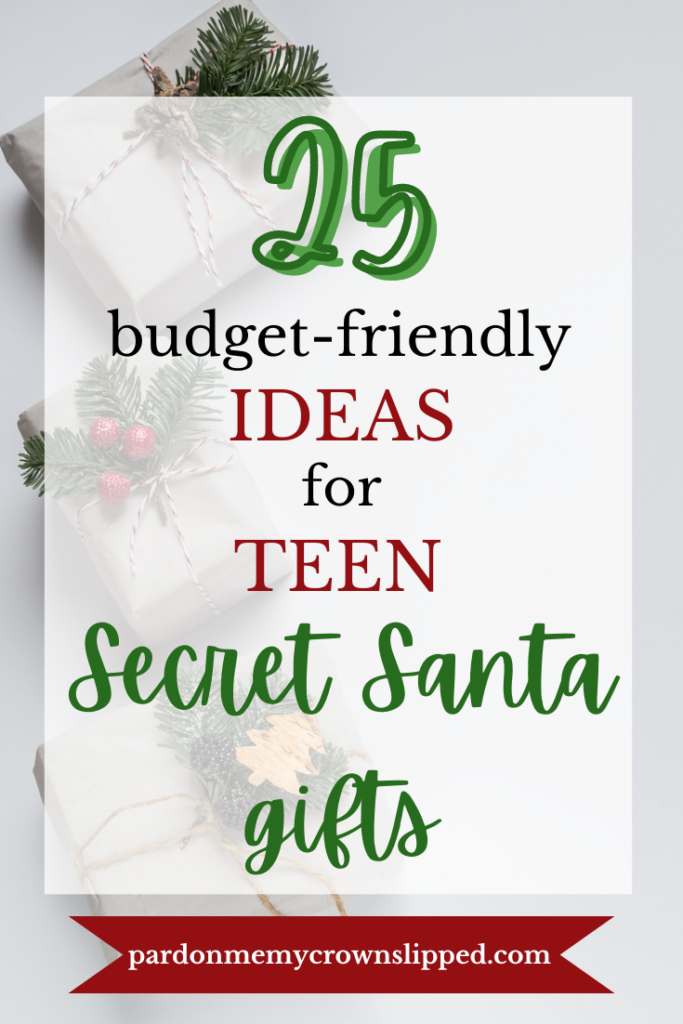 25 Budget friendly Ideas for Teen Secret Santa Gifts