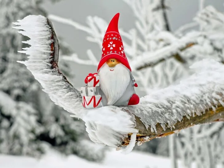 gnome with red had, gray outfit, red boots and red mittens holding 3 red, white and gray wrapped presents while sitting on a snowy tree branch