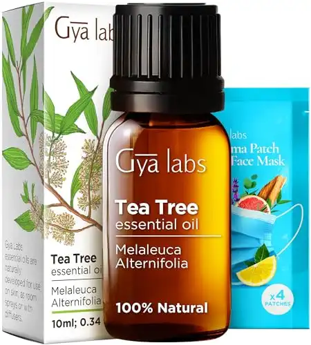 Gya Labs Australian Tea Tree Oil for Skin, Hair, Face & Toenails - 100% Natural Melaleuca Oil Tea Tree Essential Oil for Piercings, Scalp & Hair - 100% Pure Oils (0.34 fl oz)