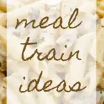67 Meal Train Ideas