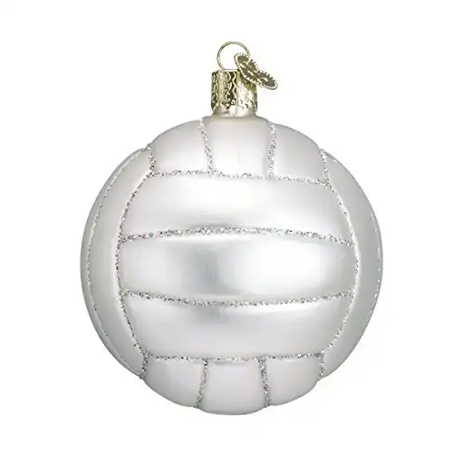 Old World Christmas 2020 Christmas Ornament Volleyball Glass Blown Ornament for Christmas Tree