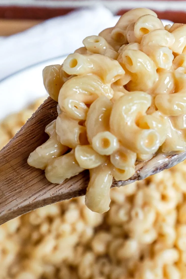 25 Summer Crockpot Recipes That’ll Keep Your Kitchen Cool (6)