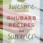 10 Awesome Rhubarb Recipes For Summer