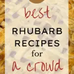 10 Best Rhubarb Recipes For a Crowd