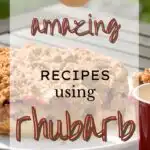 10 Amazing Rhubarb Recipes using Rhubarb