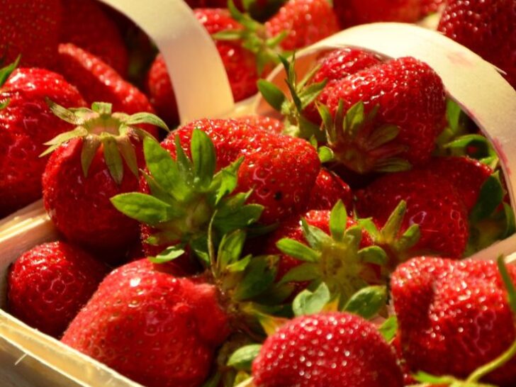 Baskets of strawberries, Strawberry Dessert Ideas
