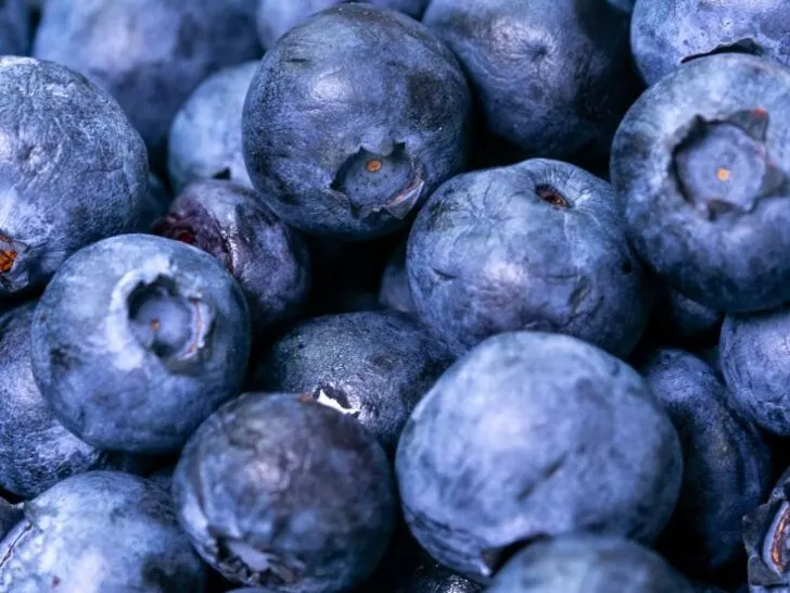 blueberries close up, blueberry recipes