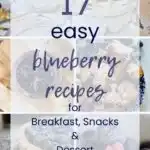17 Easy Blueberry Recipes for Breakfast, Snacks & Dessert