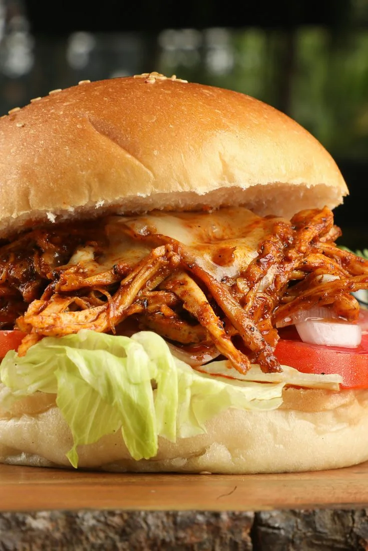 meal train ideas (4)