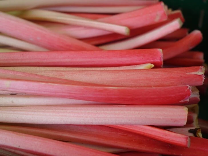 rhubarb recipes