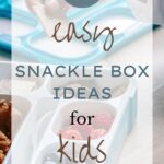 25 Easy Snackle Box Ideas for Kids