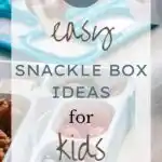 25 Easy Snackle Box Ideas for Kids