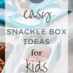 25 Easy Snackle Box Ideas for Kids