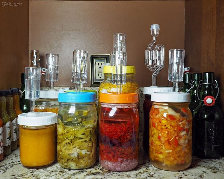 at home fermentation station &bull; Instagram
