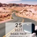 25 Best Road Trip Essentials