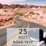 25 Best Road Trip Essentials