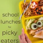 School Lunches for Picky Eaters