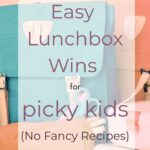 Easy Lunchbox Wins for Picky Eaters - No Fancy Recipes back to school tips