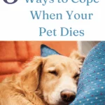 5 Things to Do When Your Pet Dies