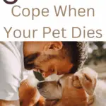 5 Things to Do When Your Pet Dies