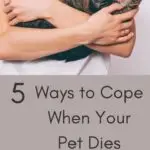 5 Things to Do When Your Pet Dies