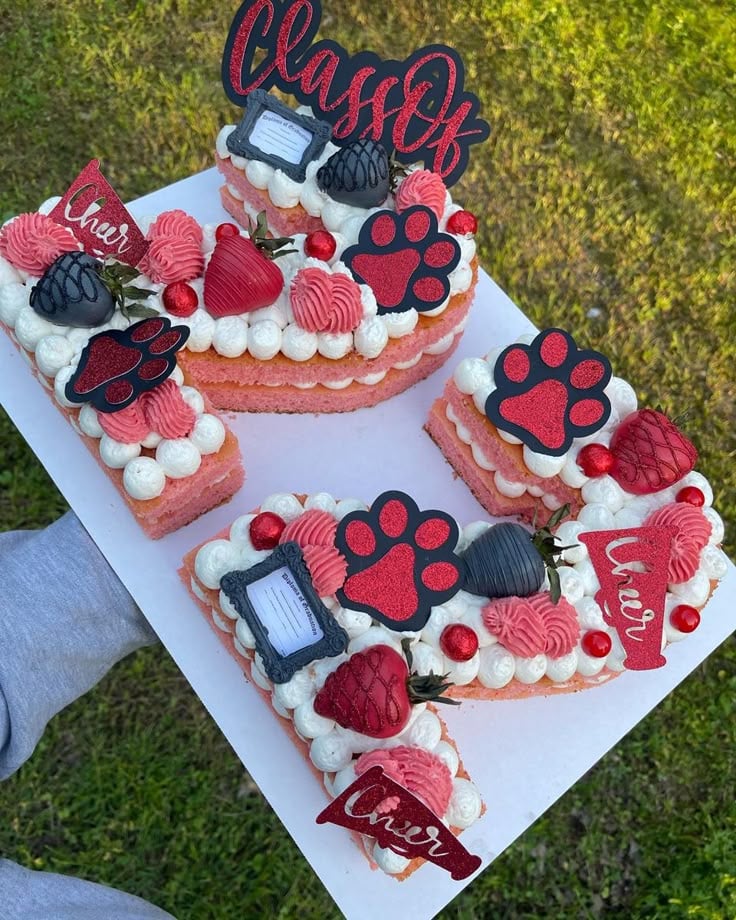 Year Graduation Cake